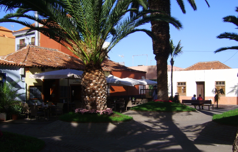 Schöne Städte Teneriffas, immer wie im Frühling : lichtdurchfluteter luftig - grüner Palmenhof in Puerto Cruz de Tenerife