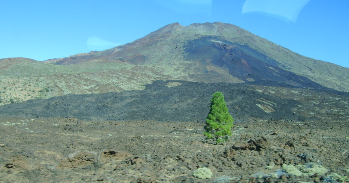 volcan scenery around Teide summit at Tenerife