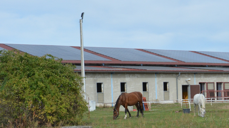 Dahlener Heide: Equestrian farm