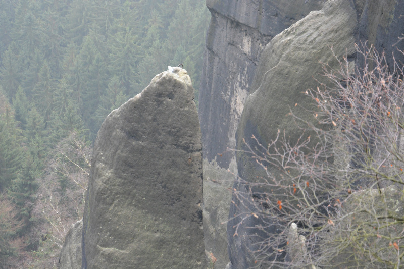 Saxonian Switzerland - climbing summit