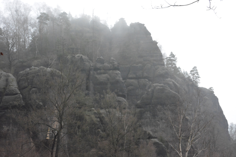 Winterfog in Saxonian Switzerland