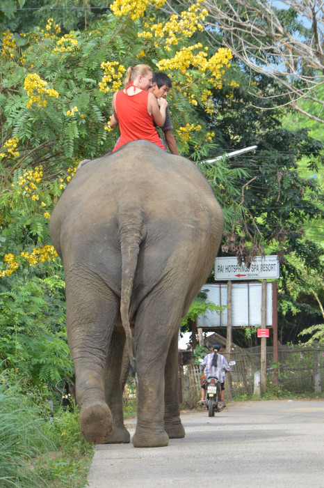 Some tourists still like to ride elephants