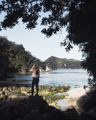 New Zealand, Abel Tasman National Park, at the Tasman Coast Track