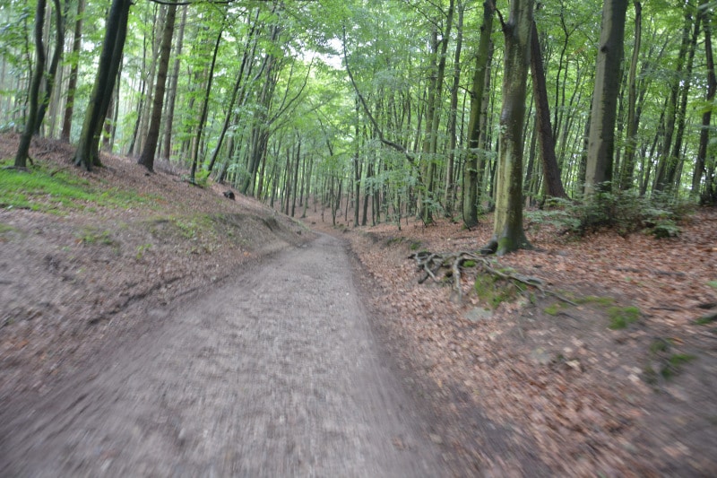 Rügen Island cycle path