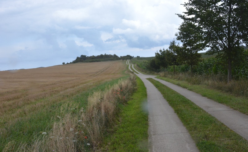 Rügen-Island cycle tour:  Concrete slab path from GDR times