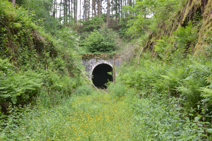 Vennbahn Radweg Goedange - Der alte Vennbahn - Tunnel Huldange ist jetzt Fledermaus - Schutzgebiet. - südlicheś Tunnelportal