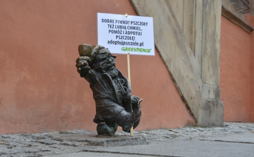 Wroclaw Herold - dwarf in front of the town hall