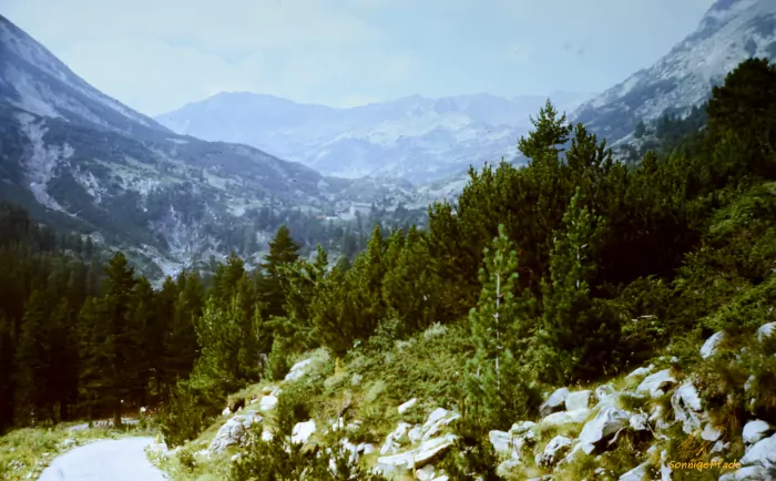 Through Bulgarian mountains in summer 1989