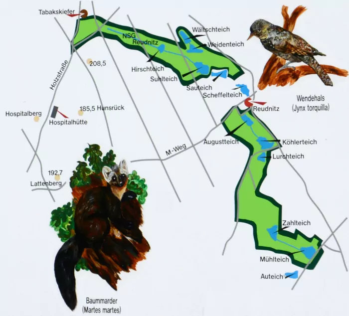 Übersichts- Karte zum Naturschutzgebiet Reudnitz in der Dahlener Heide Ausflugsziel für Naturliebhaber