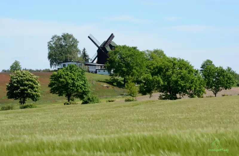 Ausflugsziel Windmühle Kobershain unterhalb vom Schildberg