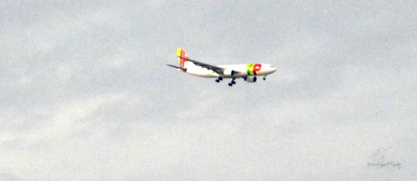 Portugal Flugzeug der TAP im Landeanflug