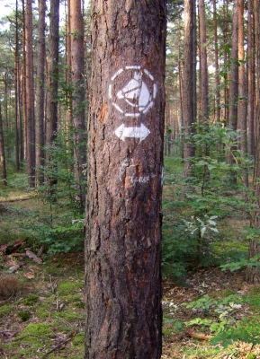 Reitwege - Markierung an einem Baum nahe Schildau