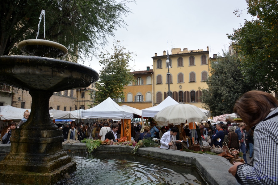 At the weekly market  Santo Spirito in Florence