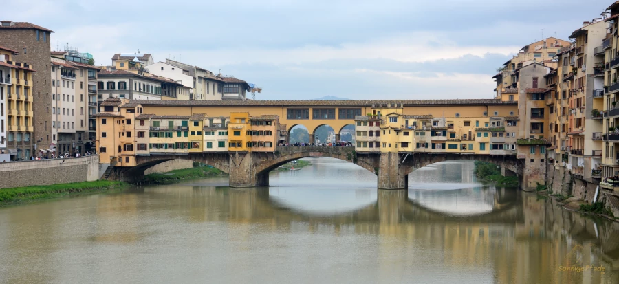 Famous sight:  Ponte Vecchio in Florence