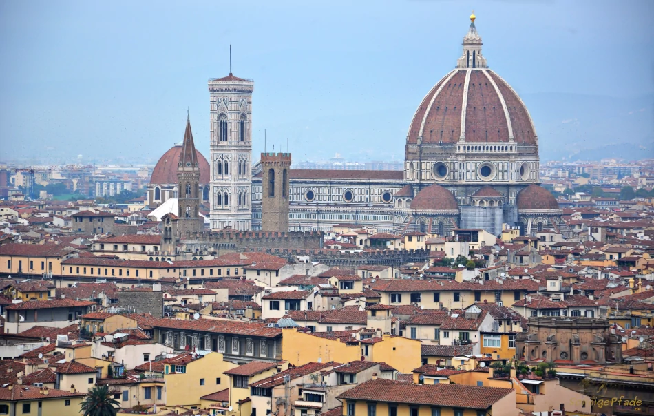 Famous sight: Cathedral Santa Maria dell' Fiore in Florence