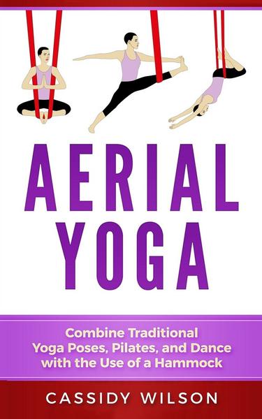 flying yoga beginners book in english