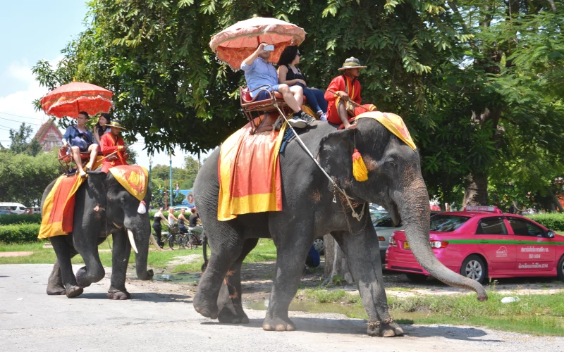 Riding elephants at the Ayutthaya historical park of Siamese Empire
