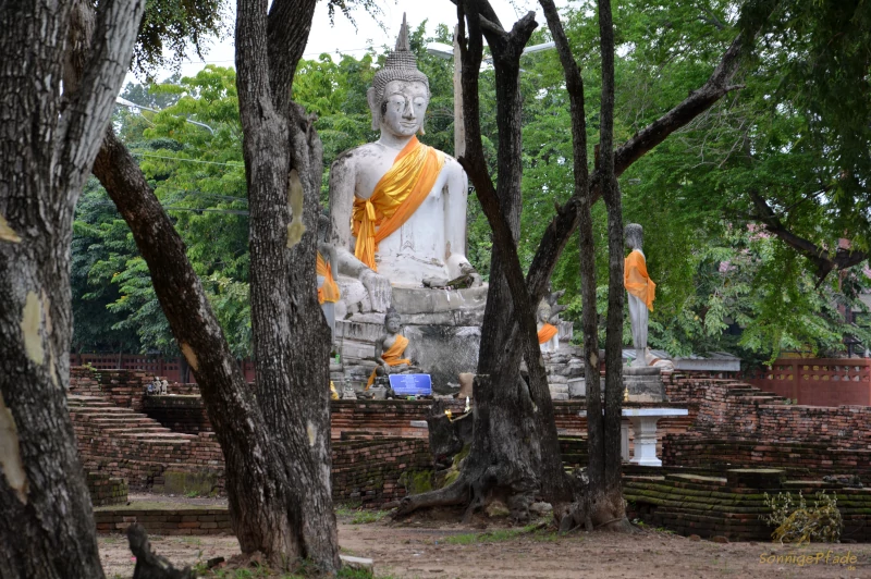 Buddha an Tempelruine in Ayutthaya