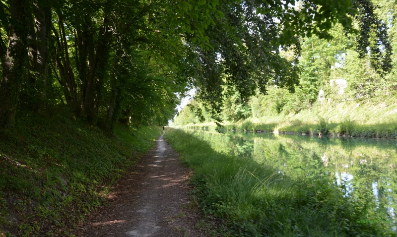 Cycle way at the  Canal d l'Aisne a la Marne