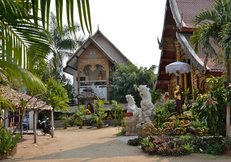 Green temple yard in Chiang Mai