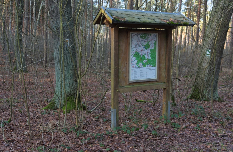 In the Schildberg forest near Schildau: Hiking trail map post