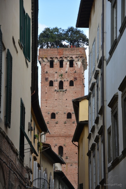 Der Torre Guinigi - ein Geschlechterturm mit Steineichen auf dem Dach
