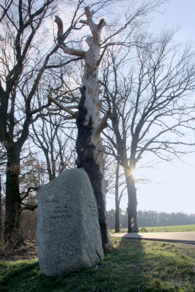 White stone at the edge of the forest , Street  Calbitz to Wermsdorf