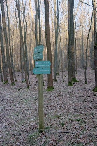 Wegweiser für Wanderwege im Wermsdorfer Wald