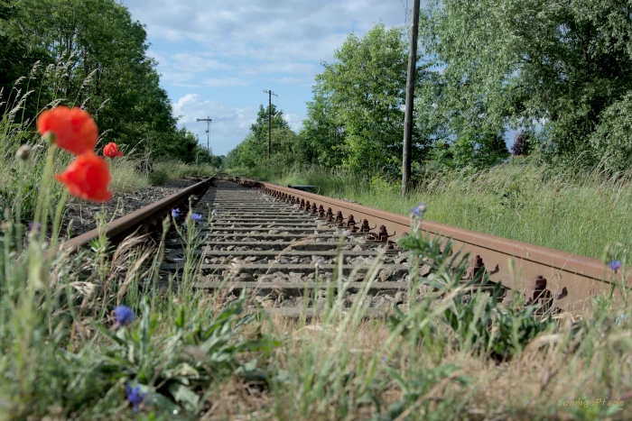 Orphaned railroad in Bad Düben
