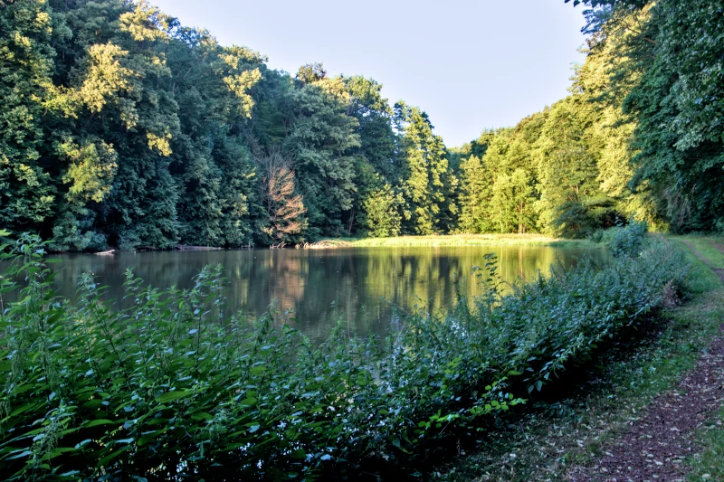 Gondelteich im Seußlitzer Grund, Naturschutzgebiet mit Wanderwegen