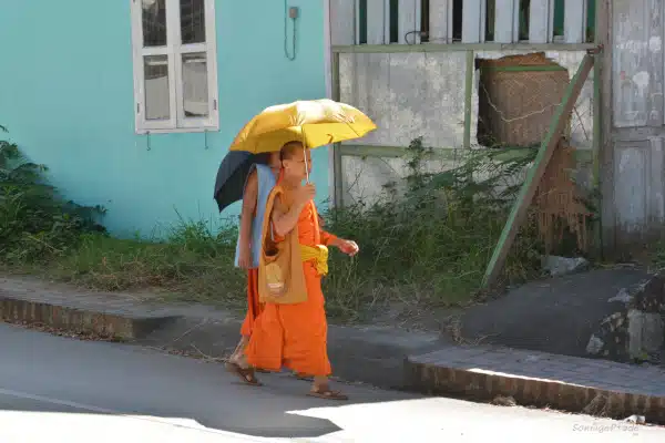 Little monks in the streets of Luang prabang, Laos
