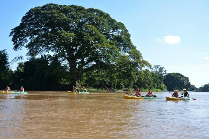 Si Phan Don, 4000 islands in Laos: Kayaktour on the Mekong near Don Det