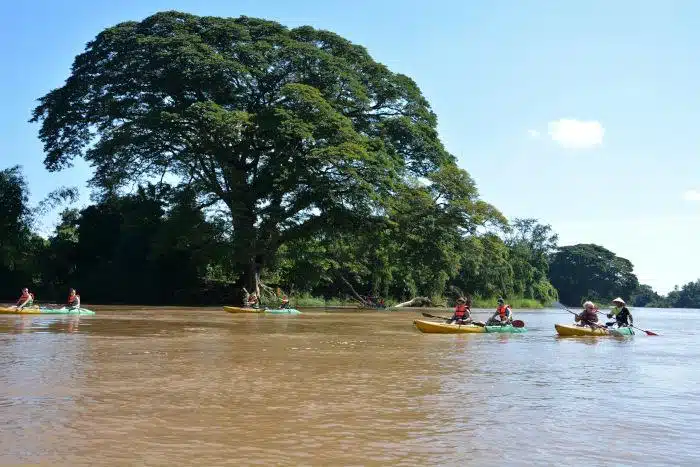 Kayaking at the Mekong river in Si Phan Don region, Laos
