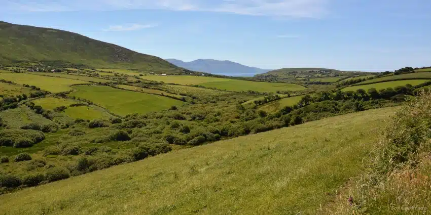 Berglandschaft auf der Halbinsel Dingle in Irland