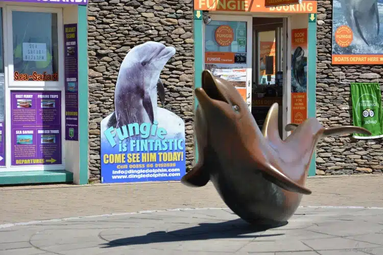 Delfin Fungi als Bronze - Denkmal in Dingle Town