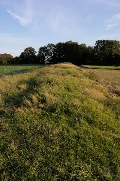 Der Lindeskov Dolmen im Abendlicht, Insel Fünen, Dänemark