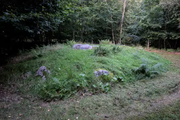 Sight at Denmark's Funen island: Round dolmen in Hestehave forest near Lindeskov