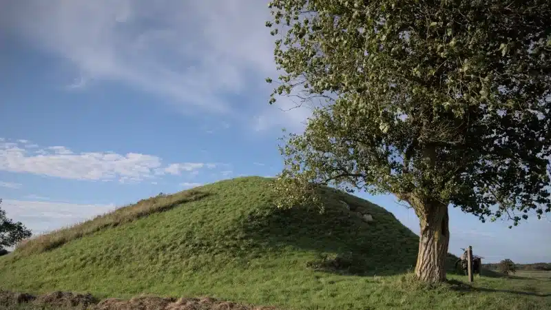 Mårhøj Jættestue – ein Ausflug 5000 Jahre zurück in die Geschichte