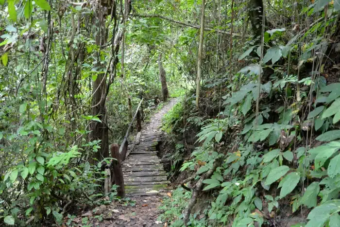 At the Mae Sakut nature trail - near Mae Hong Son in the far northwest of Thailand