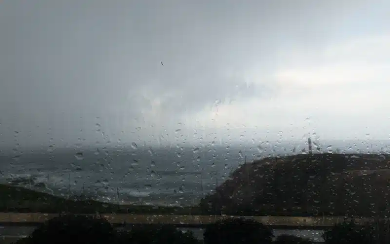 Rainy day in winter