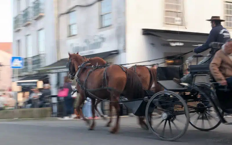Pferdekutsche unterwegs in Sintra (Portugal)