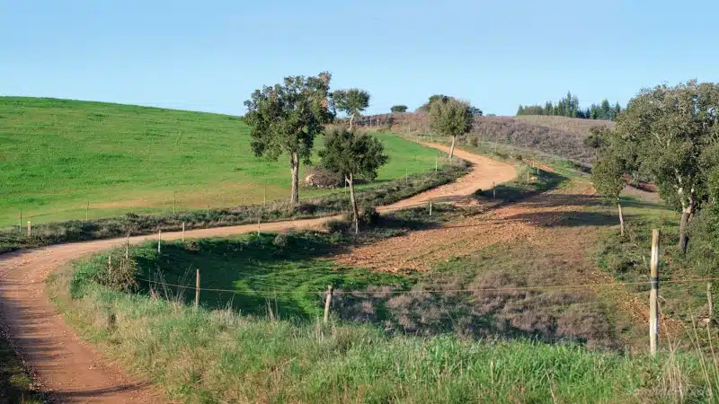 Historischer Weg - Landschaft südlich Sao Luis