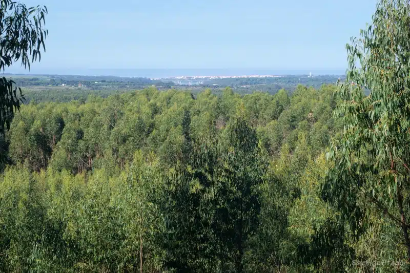 Ausblick von einem Höhenweg der Rota Vicentina nach Vila Nove de Milfontes und über den Atlantik